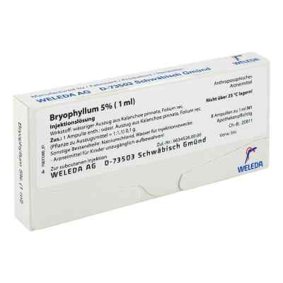 Bryophyllum 5% 1 ml Injektionslösung bei apo-discounter.de bestellen
