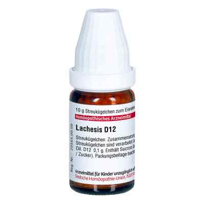 Lachesis D12 Globuli bei apo-discounter.de bestellen