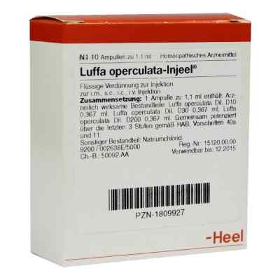Luffa Operculata Injeel Ampullen bei apo-discounter.de bestellen