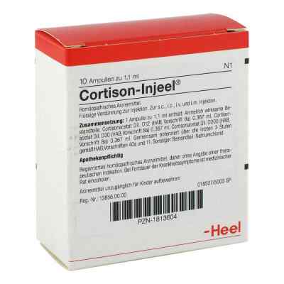 Cortison Injeel Ampullen bei apo-discounter.de bestellen