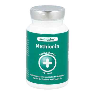 Aminoplus Methionin plus Vitamin B Komplex Kapseln bei apo-discounter.de bestellen