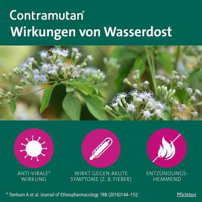 Contramutan Tropfen bei apo-discounter.de bestellen