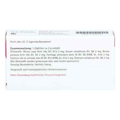 Cartilago Comp.suppositorien bei apo-discounter.de bestellen