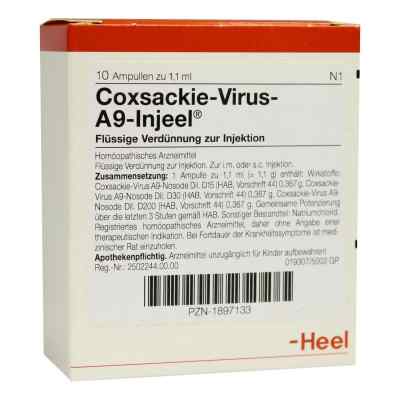 Coxsackie-virus A9 Injeel Ampullen bei apo-discounter.de bestellen