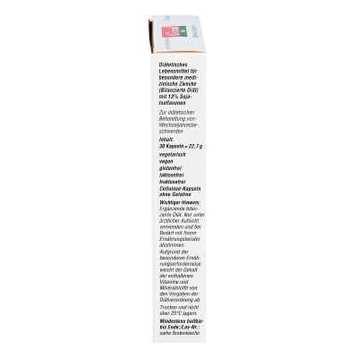Alsifemin 100 Klima Aktiv mit Soja 1x1 Kapseln bei apo-discounter.de bestellen