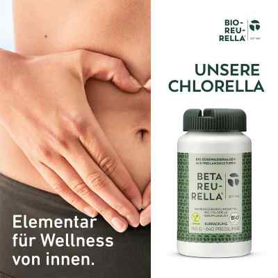 Beta Reu Rella Süsswasseralgen Tabletten bei apo-discounter.de bestellen