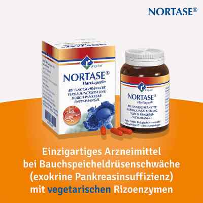 Nortase bei apo-discounter.de bestellen