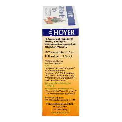 Hoyer Schlechtwetter Trunk Trinkampullen bei apo-discounter.de bestellen