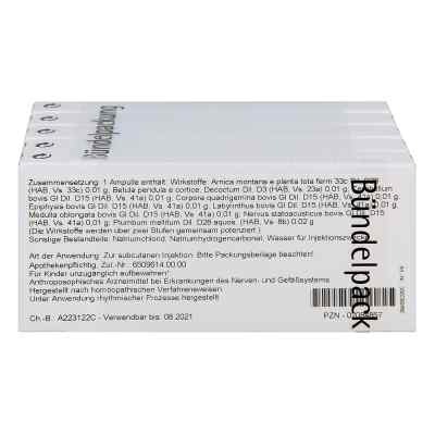 Arnica/plumbum compositus B Ampullen bei apo-discounter.de bestellen