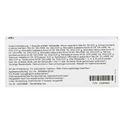 Articulatio Talocruralis Comp. Ampullen bei apo-discounter.de bestellen