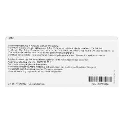 Endometrium Comp. Ampullen bei apo-discounter.de bestellen