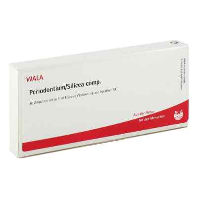 Periodontium/ Silicea Comp. Ampullen bei apo-discounter.de bestellen