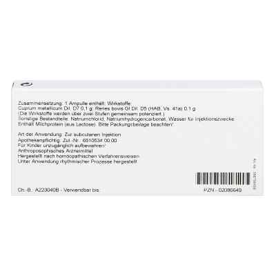 Renes/ Cuprum Ampullen bei apo-discounter.de bestellen