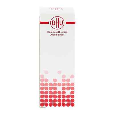 Okoubaka D2 Dilution bei apo-discounter.de bestellen