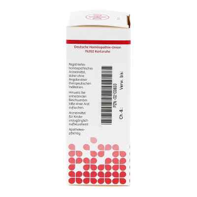 Okoubaka D2 Dilution bei apo-discounter.de bestellen