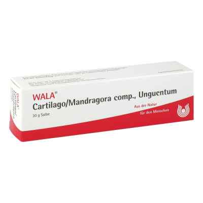 Cartilago/mandragora compositus Salbe bei apo-discounter.de bestellen