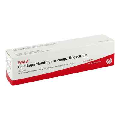 Cartilago/mandragora compositus Salbe bei apo-discounter.de bestellen
