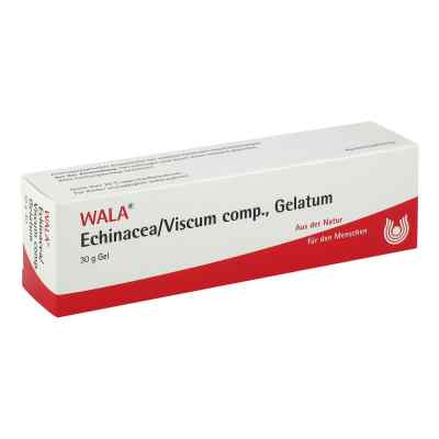 Echinacea/viscum compositus Gelatum bei apo-discounter.de bestellen
