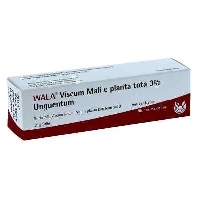 Viscum Mali e planta tota Salbe 3% bei apo-discounter.de bestellen