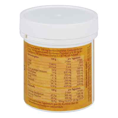 Cordyceps Vitalpilz Terra Mundo Kapseln bei apo-discounter.de bestellen