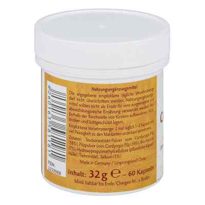 Cordyceps Vitalpilz Terra Mundo Kapseln bei apo-discounter.de bestellen