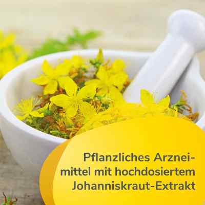 Laif 900 Balance bei apo-discounter.de bestellen