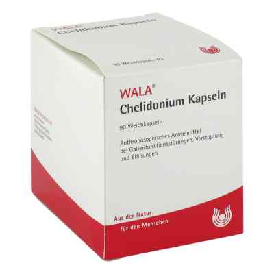 Chelidonium Kapseln bei apo-discounter.de bestellen