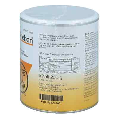 Gelafeban Pulver mit Gelatinehydrolysat plus bei apo-discounter.de bestellen
