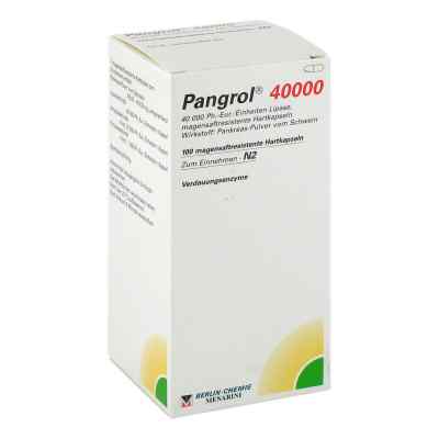 Pangrol 40000 bei apo-discounter.de bestellen