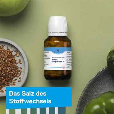 Biochemie Dhu 9 Natrium phosph. D12 Tabletten bei apo-discounter.de bestellen