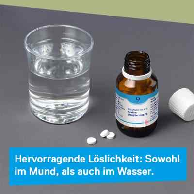 Biochemie Dhu 9 Natrium phosph. D12 Tabletten bei apo-discounter.de bestellen