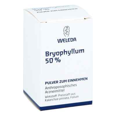 Bryophyllum 50% Pulver zum Einnehmen bei apo-discounter.de bestellen