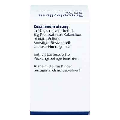 Bryophyllum 50% Pulver zum Einnehmen bei apo-discounter.de bestellen
