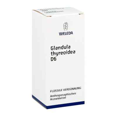 Glandula Thyreoidea D6 Dilution bei apo-discounter.de bestellen