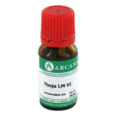Thuja Arcana Lm 6 Dilution bei apo-discounter.de bestellen