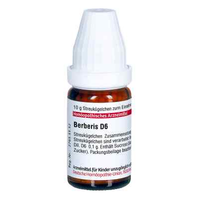 Berberis D 6 Globuli bei apo-discounter.de bestellen