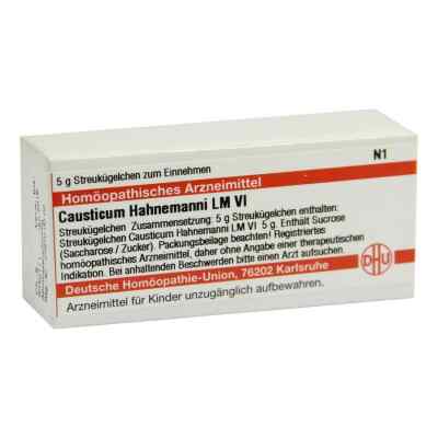 Lm Causticum Vi Globuli Dhu Hahnemann bei apo-discounter.de bestellen