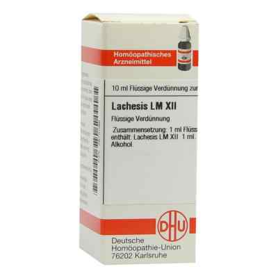 Lm Lachesis Xii bei apo-discounter.de bestellen