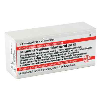 Lm Calcium Carb. Xii Globuli Hahnemanni bei apo-discounter.de bestellen