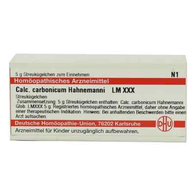 Lm Calcium Carb. Xxx Globuli Hahnemanni bei apo-discounter.de bestellen