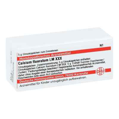Lm Calcium Fluoratum Xxx Globuli bei apo-discounter.de bestellen