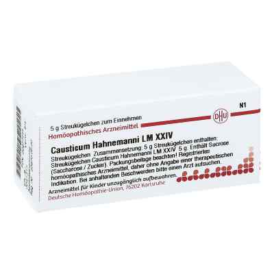 Lm Causticum Xxiv Dhu Hahnemann bei apo-discounter.de bestellen