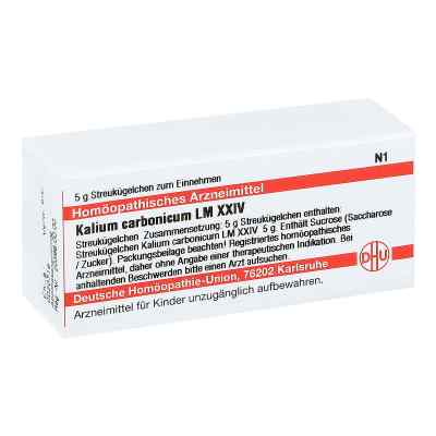 Lm Kalium Carbonicum Xxiv Globuli bei apo-discounter.de bestellen