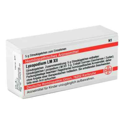 Lm Lycopodium Xii Globuli bei apo-discounter.de bestellen