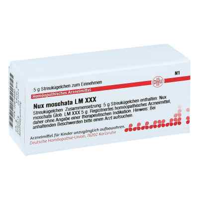 Lm Nux Moschata Xxx Globuli bei apo-discounter.de bestellen