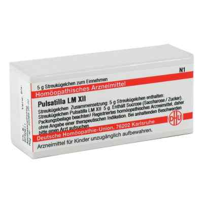 Lm Pulsatilla Xii Globuli bei apo-discounter.de bestellen