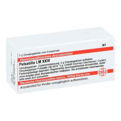 Lm Pulsatilla Xxiv Globuli bei apo-discounter.de bestellen