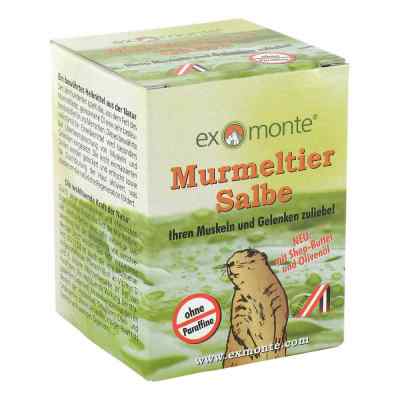 Murmeltiersalbe ohne Paraffine bei apo-discounter.de bestellen