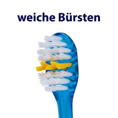 Elmex Junior Zahnbürste bei apo-discounter.de bestellen