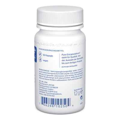 Pure Encapsulations Zink 15 Zinkpicolinat Kapseln bei apo-discounter.de bestellen